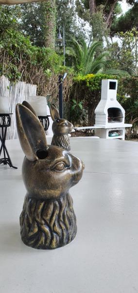 DomusAuroom, RELAX nel cuore della Versilia - Pet Friendly